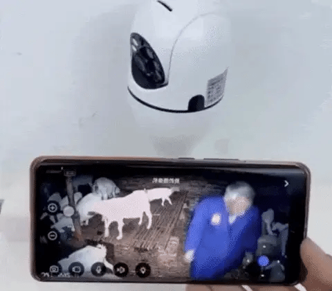 Camera de Segurança WiFi 360° Security Cam